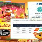 Bok menang Fortune Tiger Rajaslot 18 Mei 2025