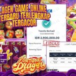 Bukti kemenangan Fortune Dragon member Rajaslot