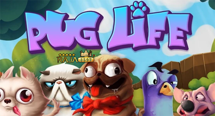 Bukti kemenangan Pug Life di Rajaslot terbaru