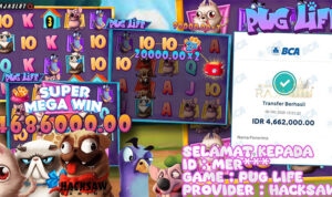 Pemain Mer*** menang Rp4,66 juta di slot Pug Life di Rajaslot